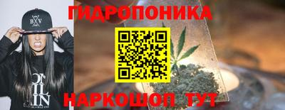 мдпв Гусь-Хрустальный