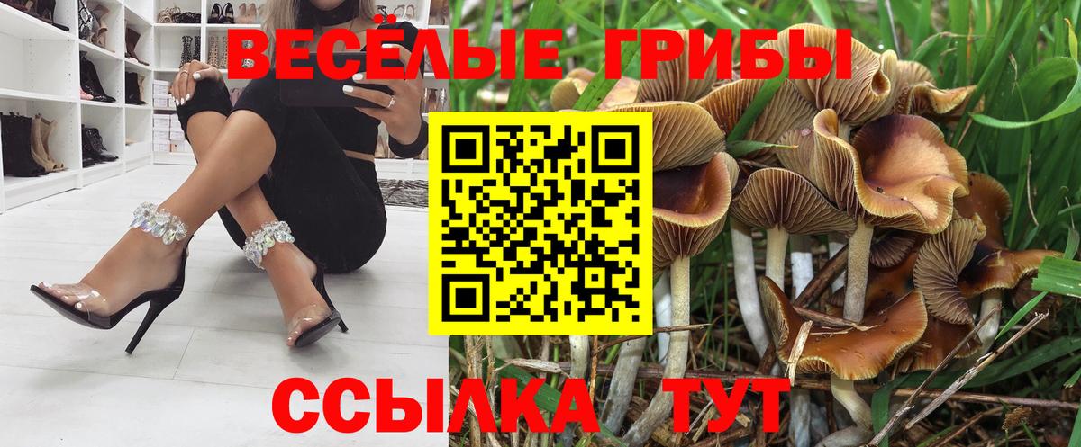 Галлюциногенные грибы Magic Shrooms Минеральные Воды